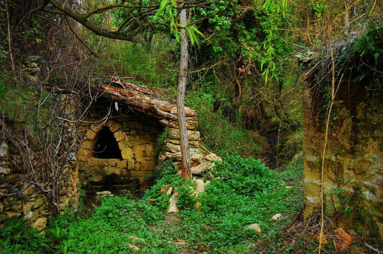 La Posada Del Arba El Frago Extérieur photo
